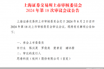 “科创深改八条”后首家，思看科技IPO迎考