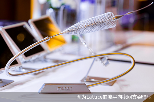 图为Lattice血流导向密网支架模型