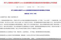 国家医保局发函质问Castor支架价格虚高，心脉医疗核心产品降价预期重挫股价