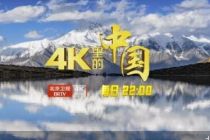 全国首个超高清卫视频道正式开播 | “技术+内容”构筑行业新标杆