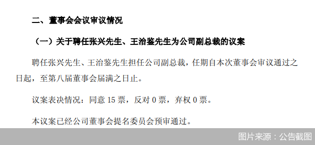 图片来源：公告截图