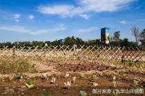 推动康养文旅产业融合，九华山庄流星雨农场正式开园
