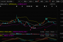 易主终止叠加业绩预亏，*ST金比股价迎考