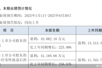 东北证券半年度业绩预告：归母净利润同比增长225.9%