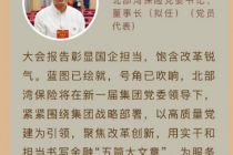    北部湾保险董事长人选出炉，林峰拟接棒