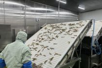 卖爆国产白虾 ，东方甄选与工厂做对了什么