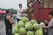 北京果蔬供应未受影响  部分叶菜价格略上浮