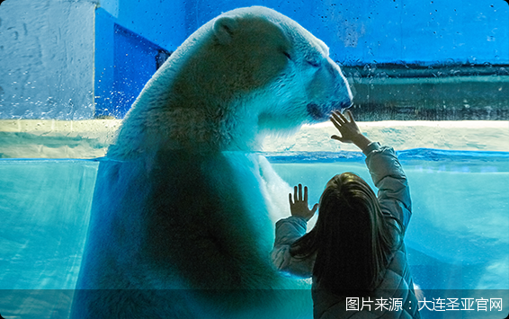 图片来源：大连圣亚官网