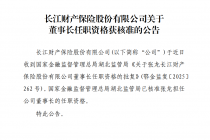 “掌门人”落定，整改通报曝光沉疴！长江财险如何再出发
