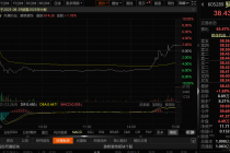“相中”武桐高新！罗曼股份欲不超2亿元跨界算力