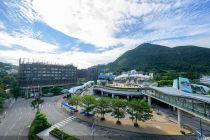 香港海洋公园推出夏水礼及大熊猫生日庆典活动