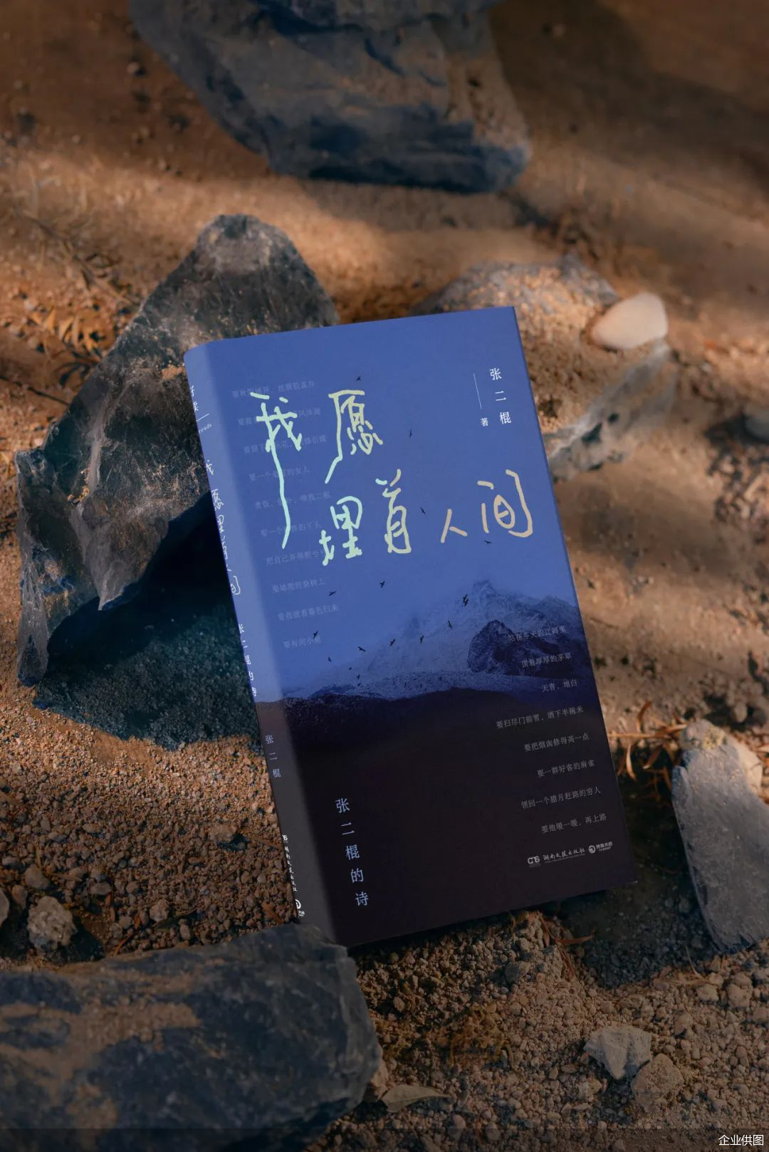 张二棍诗集，《我愿埋首人间》
