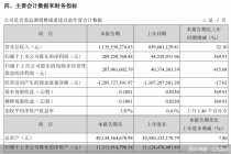 国盛金控2025年半年报:归母净利润2.09亿元,同比增369.91%