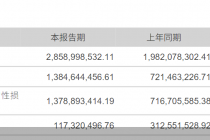 长城证券2025年半年报:实现归母净利润13.85亿元,同比增长91.92%