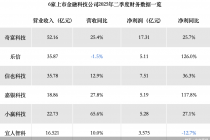 拆解助贷“六小强”二季报：多数营收净利双增！合赚44亿元