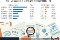 拆解助贷“六小强”二季报