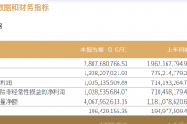 华安证券2025年半年报:归母净利润10.35亿元,同比增长44.94%