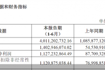 国联民生2025年半年报:归母净利润11.27亿元,同比增长1185.19%