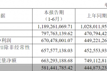 红塔证券2025年半年报:归母净利润6.7亿元,同比增长49.25%