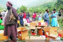 阿富汗东北部地震已致800余人死亡