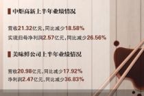 营收净利双降 中炬高新“再造新厨邦”受挫