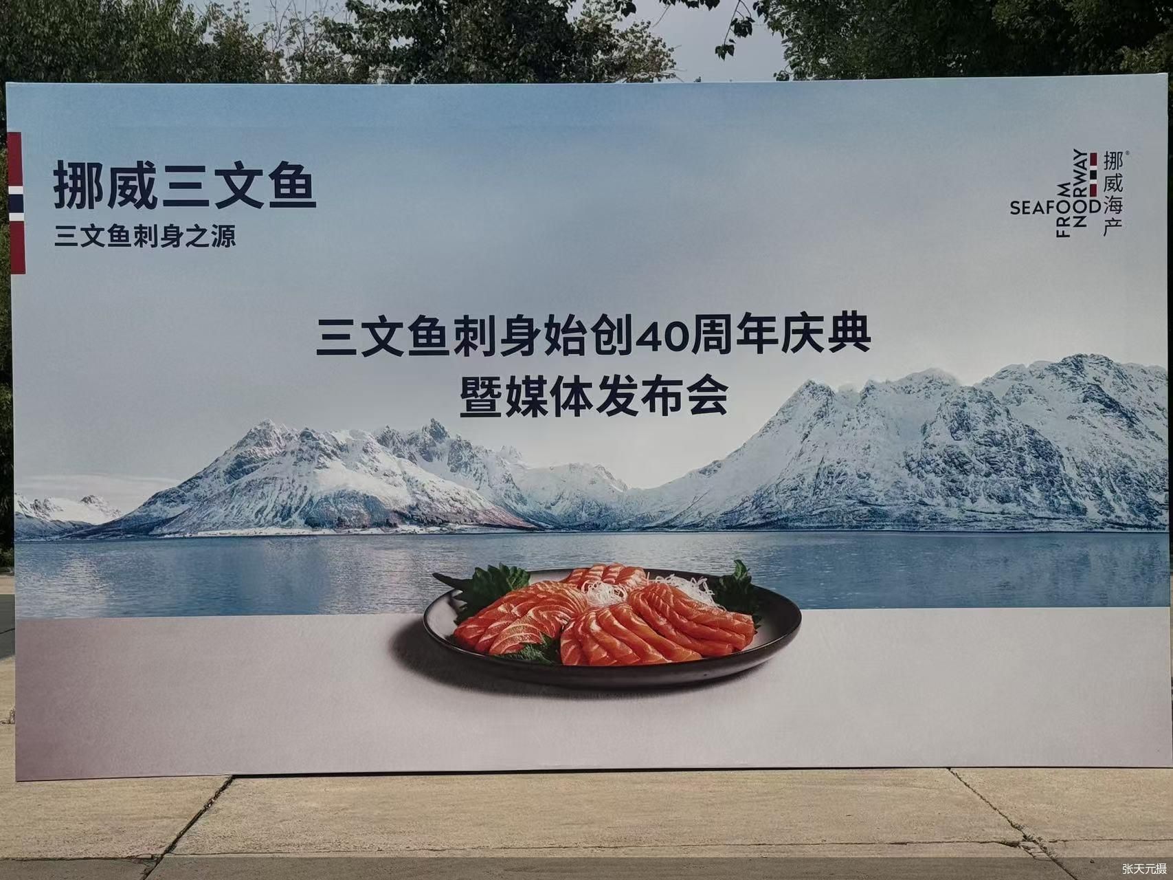 张天元摄