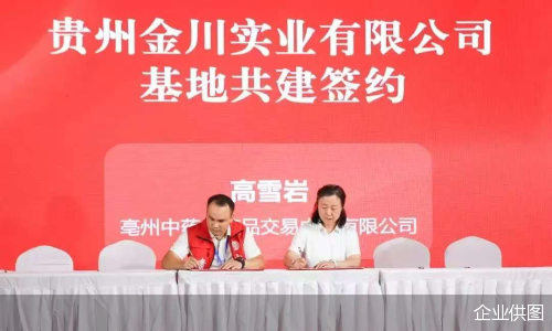 企业供图