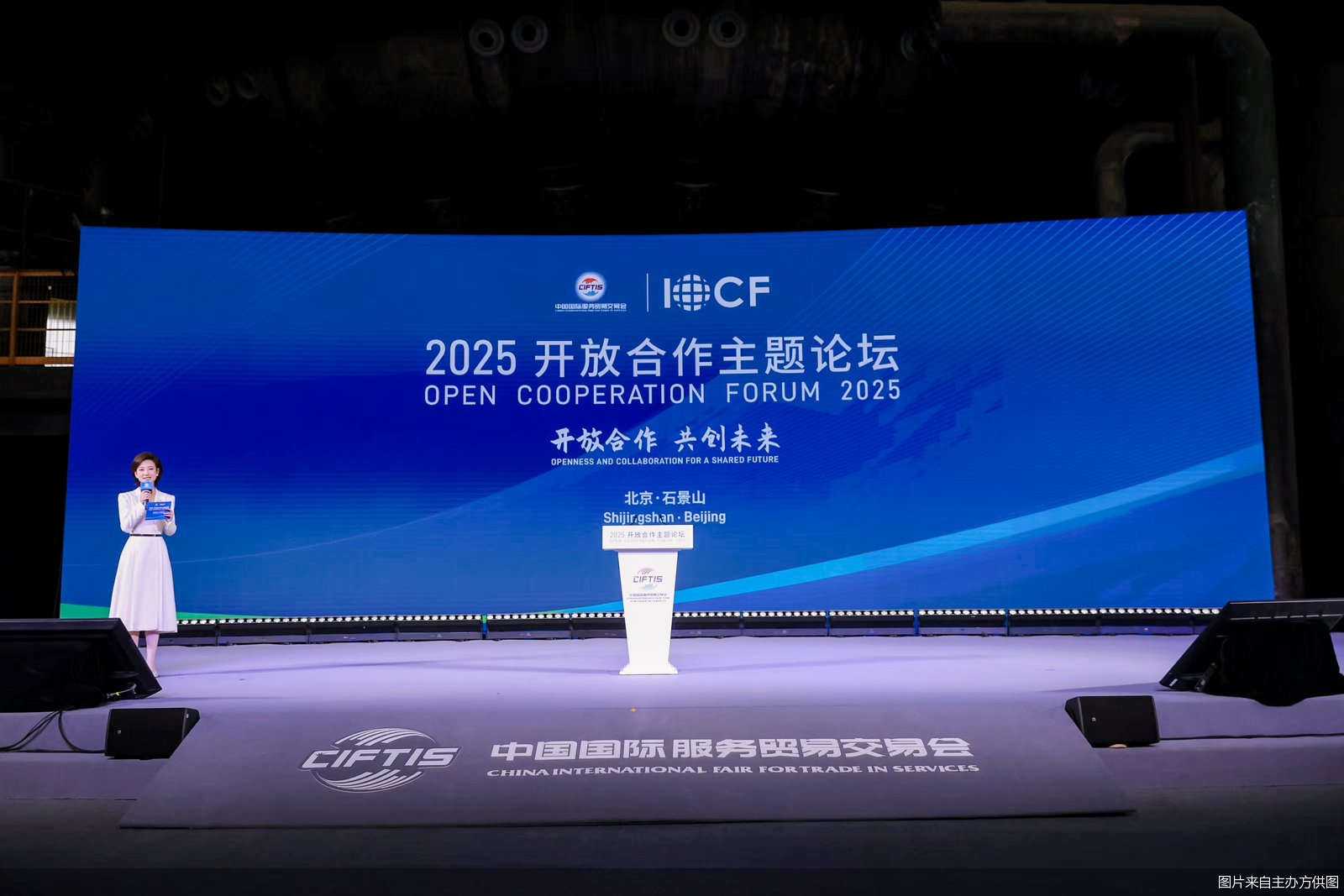 图片来自主办方供图