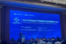 2025服贸会|知识产权服务业规模稳步扩张，服务效能与发展环境双升级