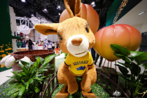 2025服贸会｜澳大利亚旅游局大中华区总经理韩彬：迎接中国游客，多元体验打造南半球高品质目的地