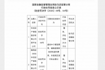 虚挂中介套取费用等，华农财险西平支公司合计被罚24.6万元