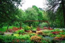 北京市属公园发布40余处小而美赏秋花境