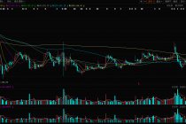 回购、增持齐上阵，上海莱士股价表现仍疲软
