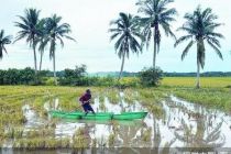 台风“桦加沙”登陆菲律宾