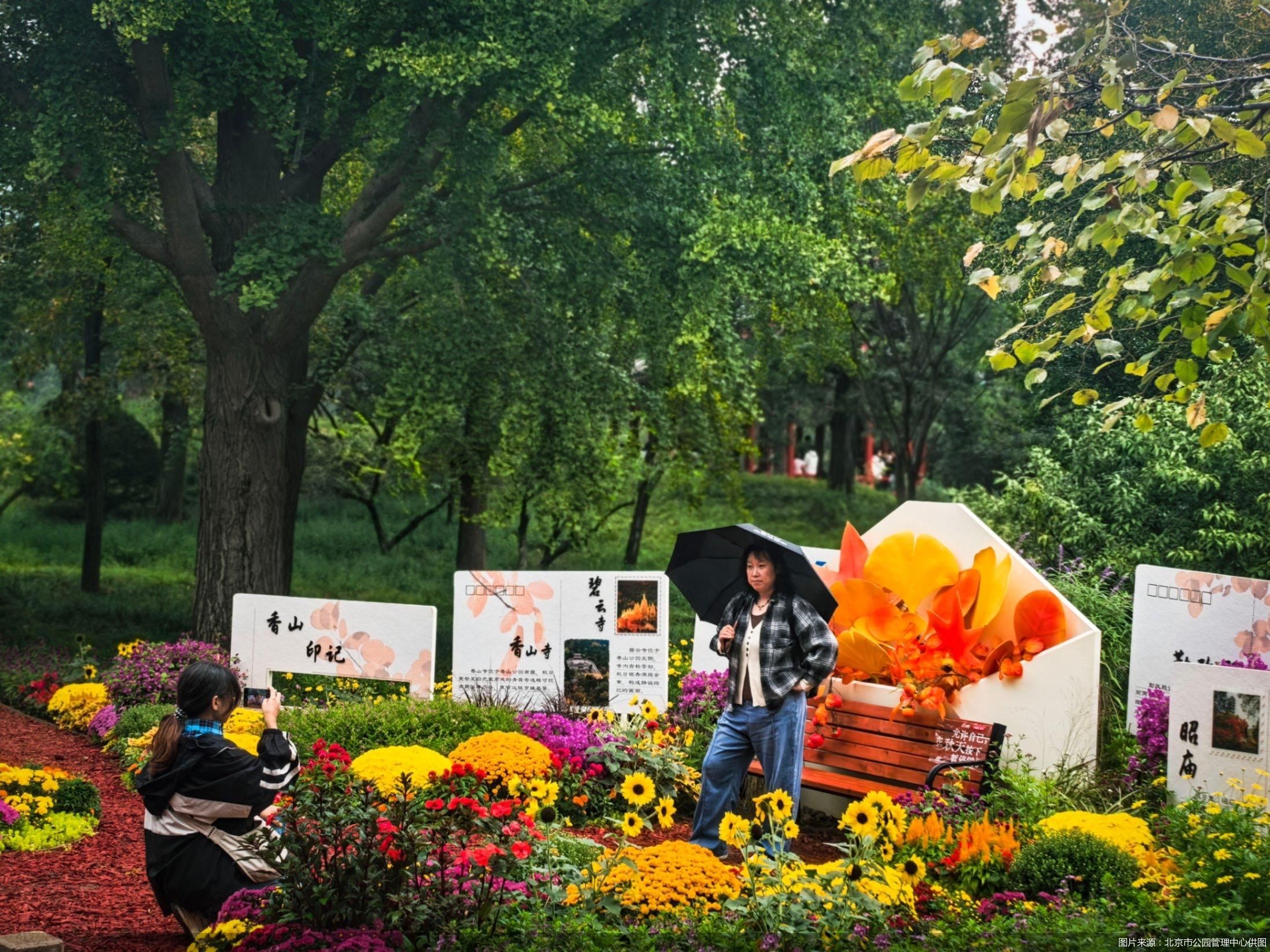 图片来源：北京市公园管理中心供图