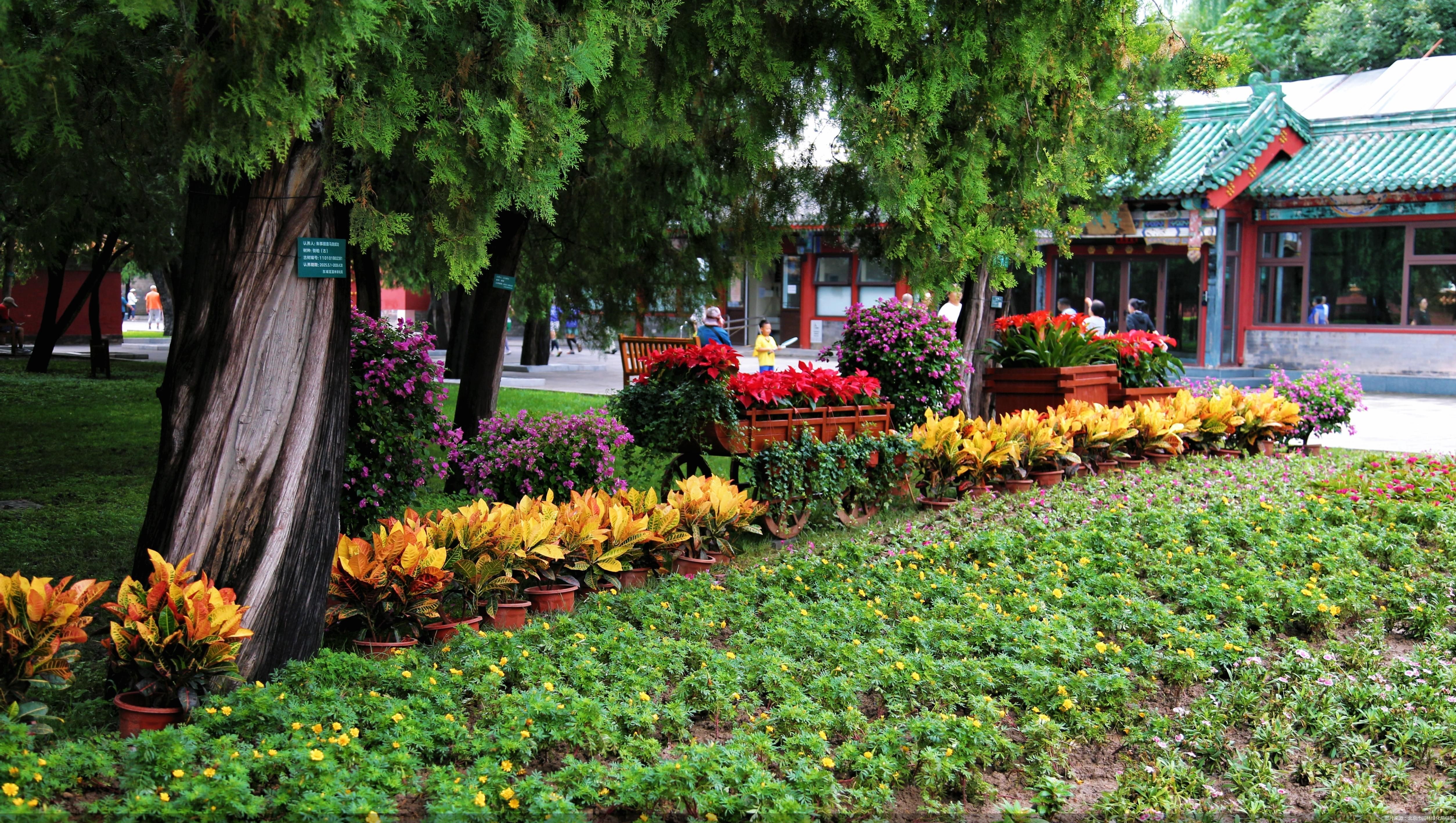 图片来源：北京市园林绿化局供图