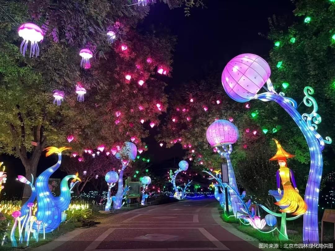 图片来源：北京市园林绿化局供图