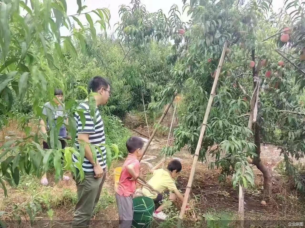 企业供图