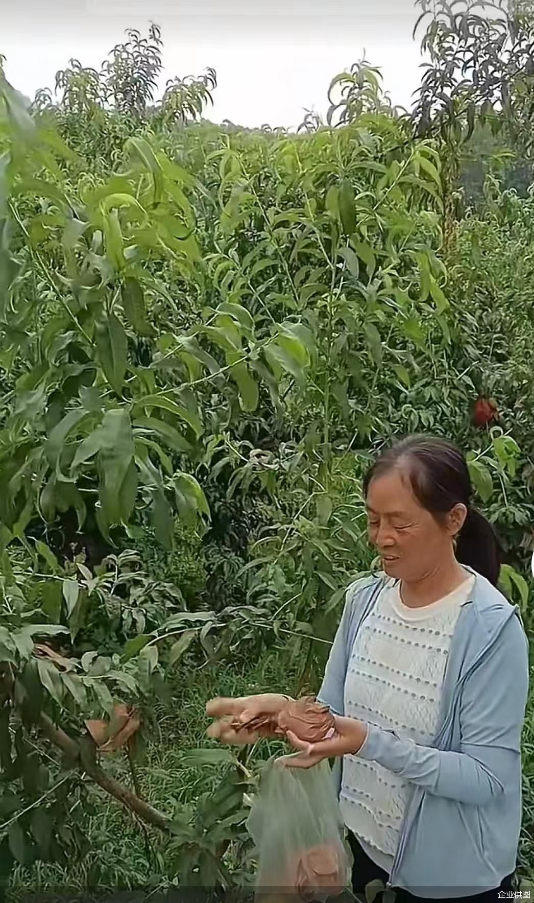 企业供图