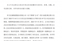 申万宏源拟不再设置监事会