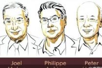2025年诺奖：经济增长并非理所当然