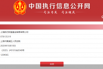 旗下机构再被执行120万元,本人两度被限高!公募大佬陈继武资本棋局遇困