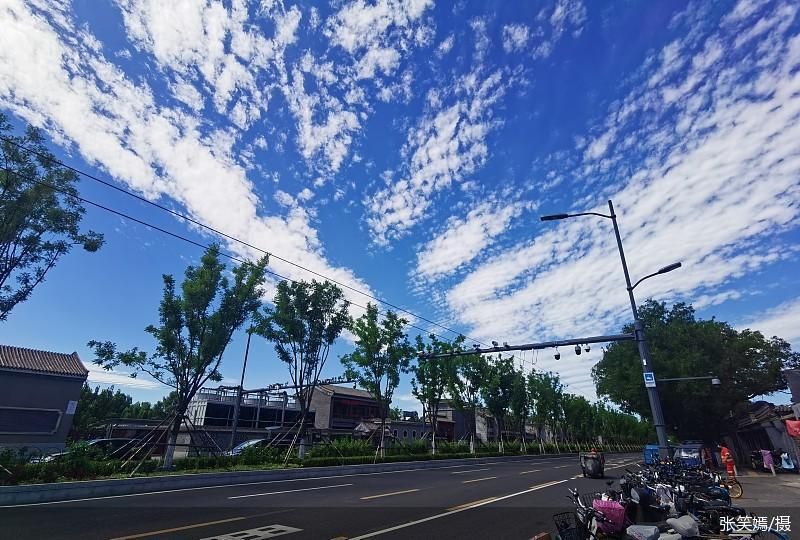 张笑嫣 /摄