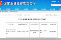 因聘任不具有任职资格的人员，诺承保险代理原副总经理张李文被罚