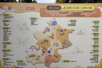 北京市文旅局启动“秋日长椅三分钟”计划，50处赏秋点位设置200张长椅