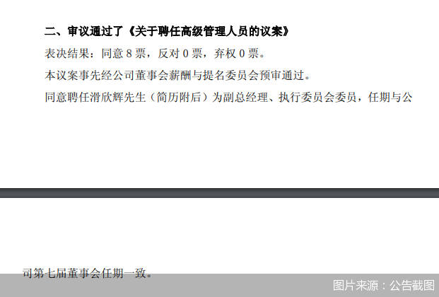 图片来源:公告截图