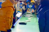 网点件量将翻一倍、自动化提效30%，快递企业迎战“双11”首个洪峰