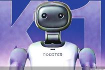 加速进化抢单“双11”