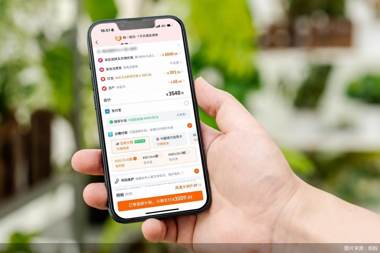 图片来源：蚂蚁