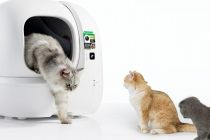 宠物三季报：自有品牌与全球化布局成增长双引擎